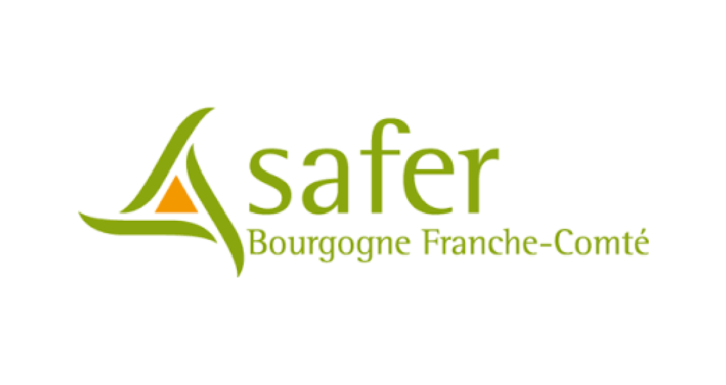 Logo de Safer